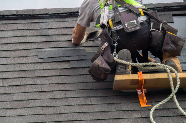 Professional Roofing Services in Parker, CO