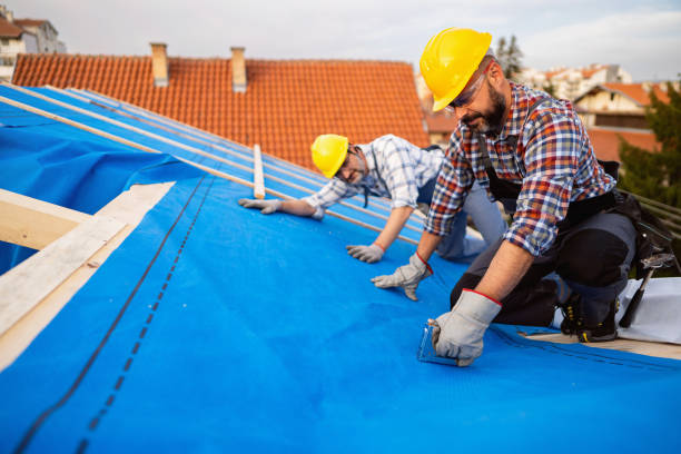 Best Roof Insulation Installation  in Parker, CO