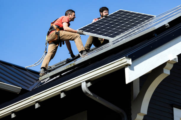 Best Roof Maintenance and Cleaning  in Parker, CO